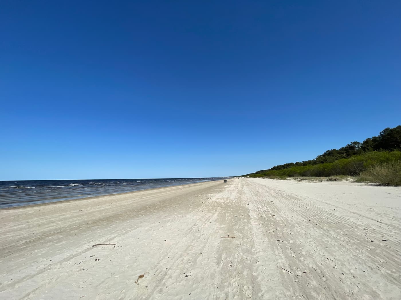 La lunga spiaggia sabbiosa di Jūrmala con le pinete lungo le dune sul Golfo di Riga