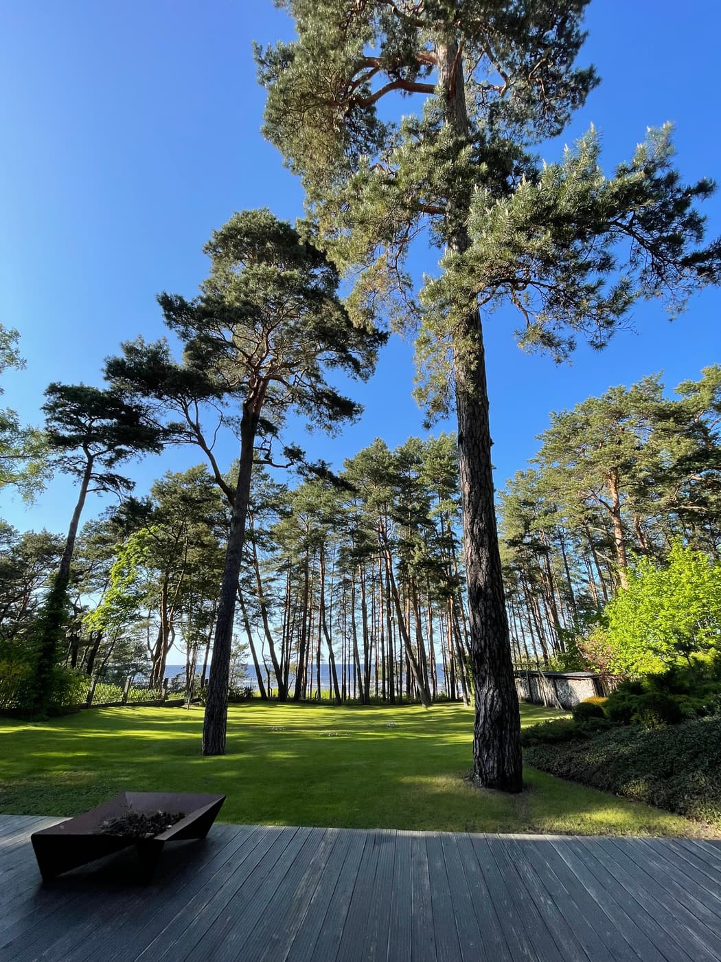 Tall pines and a lawn running down to the sea from a wooden terrace at Jūrmala